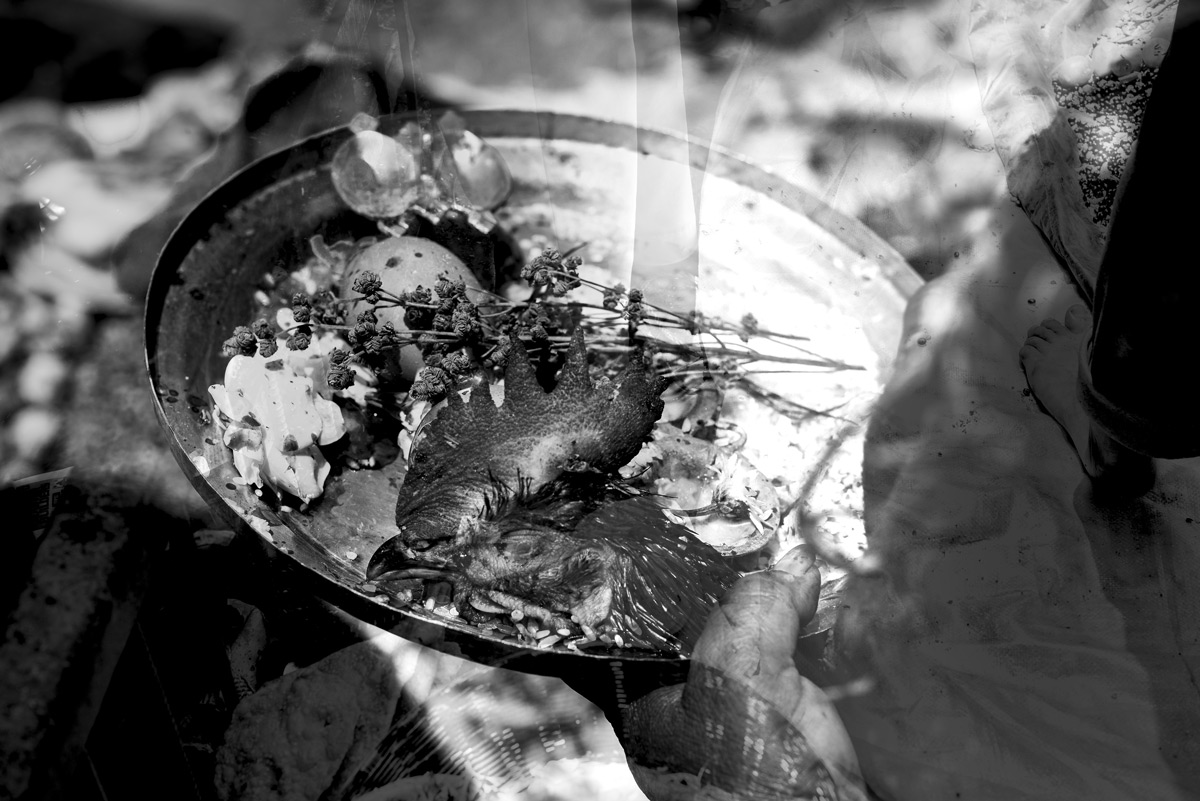 dsc_9071_web